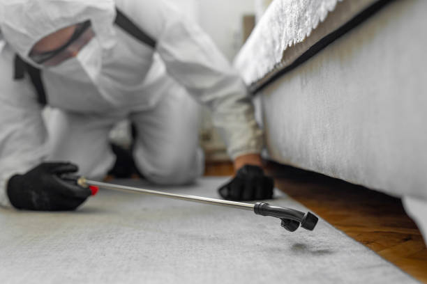 Professional Termite Control technician working in Golden Beach, MD
