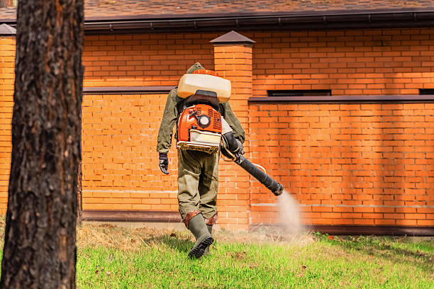 Trusted Termite Control service in Golden Beach, MD - Nex Pest Control